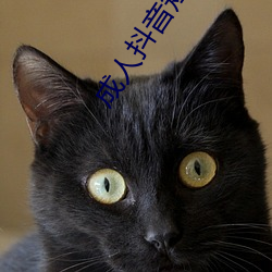 成人抖音短视频(pín)APP