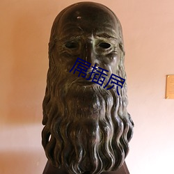 屌插屄