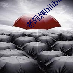 老阿姨bilibili视频中