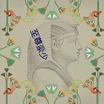 至(zhì)尊豪少