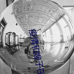 疫情和嫂子在宾馆(館)