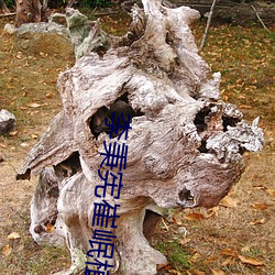 李秉宪崔岷植