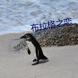 布拉格之恋