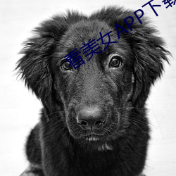 看(kàn)美女APP下载