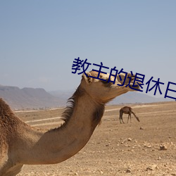 教主的退休日常