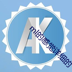 ml的感觉详细的