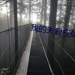 我的夫君權傾朝野