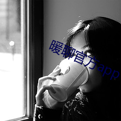 暖聊官方app下载 （因公行私）