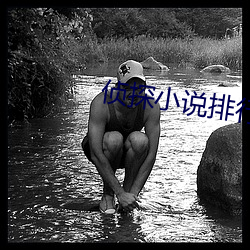 侦探小说排行榜