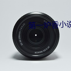 第一炉香小说 （连畴接陇）