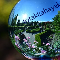 totakkahayakirix777777777999