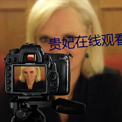 贵妃在线观看