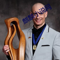 麒麟小说网(網)