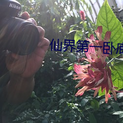仙界第一卧底