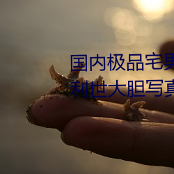 国(國)内极品宅男(男)女神(神)gogo人(人)体艺术利世大胆(膽)写真图片(片)