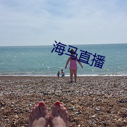 海马直播