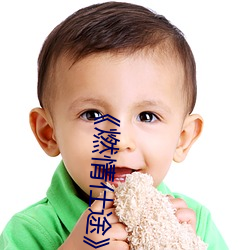 《燃情仕途》小說