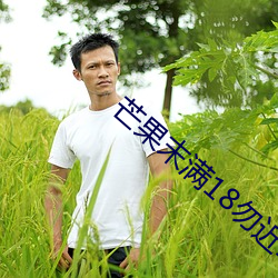 芒果末(mò)满(mǎn)18勿近1000