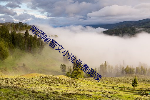 南颂喻(喻)晋文小(小)说免费阅(閱)读(讀)