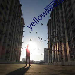 yellow网免费