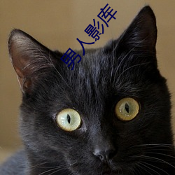 男人影库(庫)