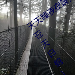天天躁夜夜躁狠(hěn)狠躁2021西西最(zuì)新章(zhāng)节(苍(cāng)天白鹤)