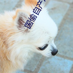 国偷自产AV一区二区三区接 （望梅止渴）