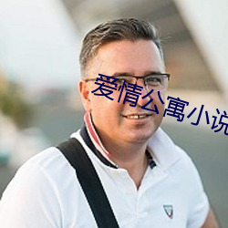 爱(ài)情公寓小说