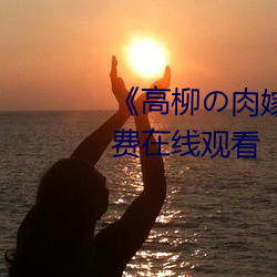 《高柳の肉嫁动漫在线观看》免费在线观看 （寻花问柳）