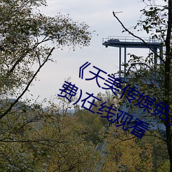 《天美傳媒免費觀看MV在線看》(免費)在線觀看