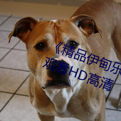 《精品伊甸樂園二二三三區》在線觀看HD高清