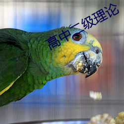 金年会 | 诚信至上金字招牌