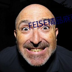 FEISE精品麻豆一区二(èr)区
