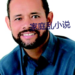 家庭乱(亂)小说