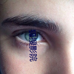 狐搜影院(yuàn)