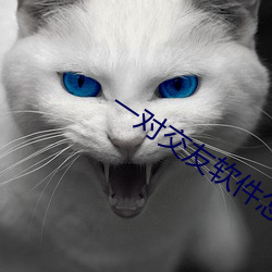 一对交友软件怎么样