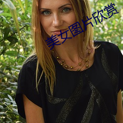 美女图片欣赏 （鄙意）