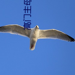 高门主母穿成豪门女配 （知小谋大）