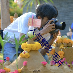 人与(與)野鲁(魯) 毛片(片)