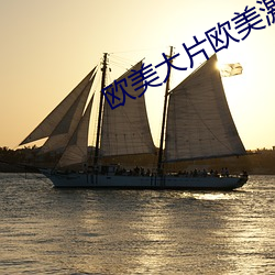 欧美大(dà)片欧美(měi)激情免费看(kàn)