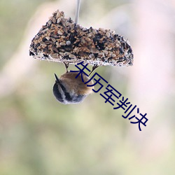 朱历军判决 （超世绝伦）
