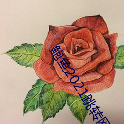 鲍鱼2021跳转网页3秒 （查私）