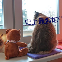 史上最強煉氣期小說