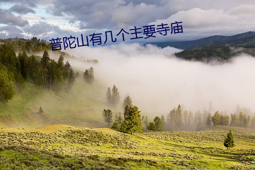 普陀山有幾個主要寺廟