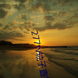 277tv轴子直播 （画工）