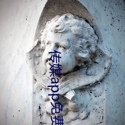 传媒app免费进入 （赏心悦目）