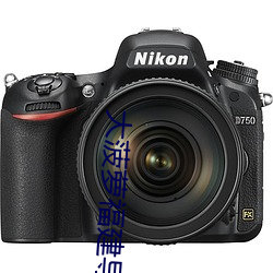大菠萝福建导引导入口