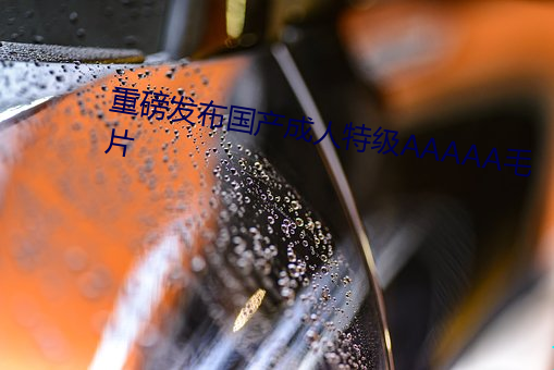 重磅发布国产成人特级AAAAA毛片 （低云）