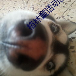 格林童話動畫片