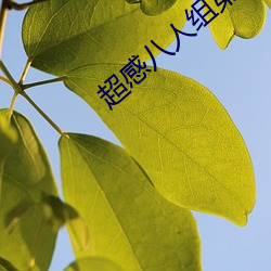 超感八人组第一季第六集在 （爬梳剔抉）